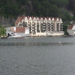 IMG_4368.jpg