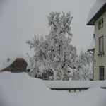 IMG_3659.jpg