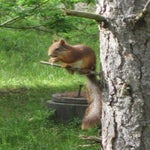 IMG_4374.jpg