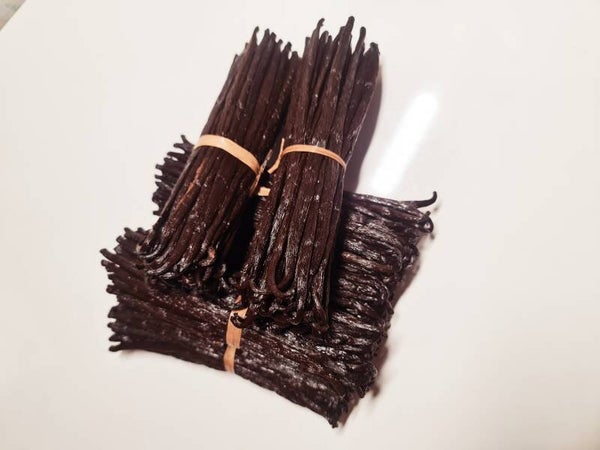 GOUSSES DE VANILLE AU POIDS (GOURMET EXTRA DE 16-18 CM)