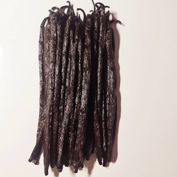 GOUSSES DE VANILLE GOURMET EXTRA DE 19-21 CM (GRANDES TAILLES)
