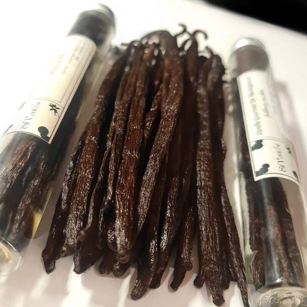 GOUSSES DE VANILLE EN TUBE (GOURMET EXTRA DE 16-18 CM)