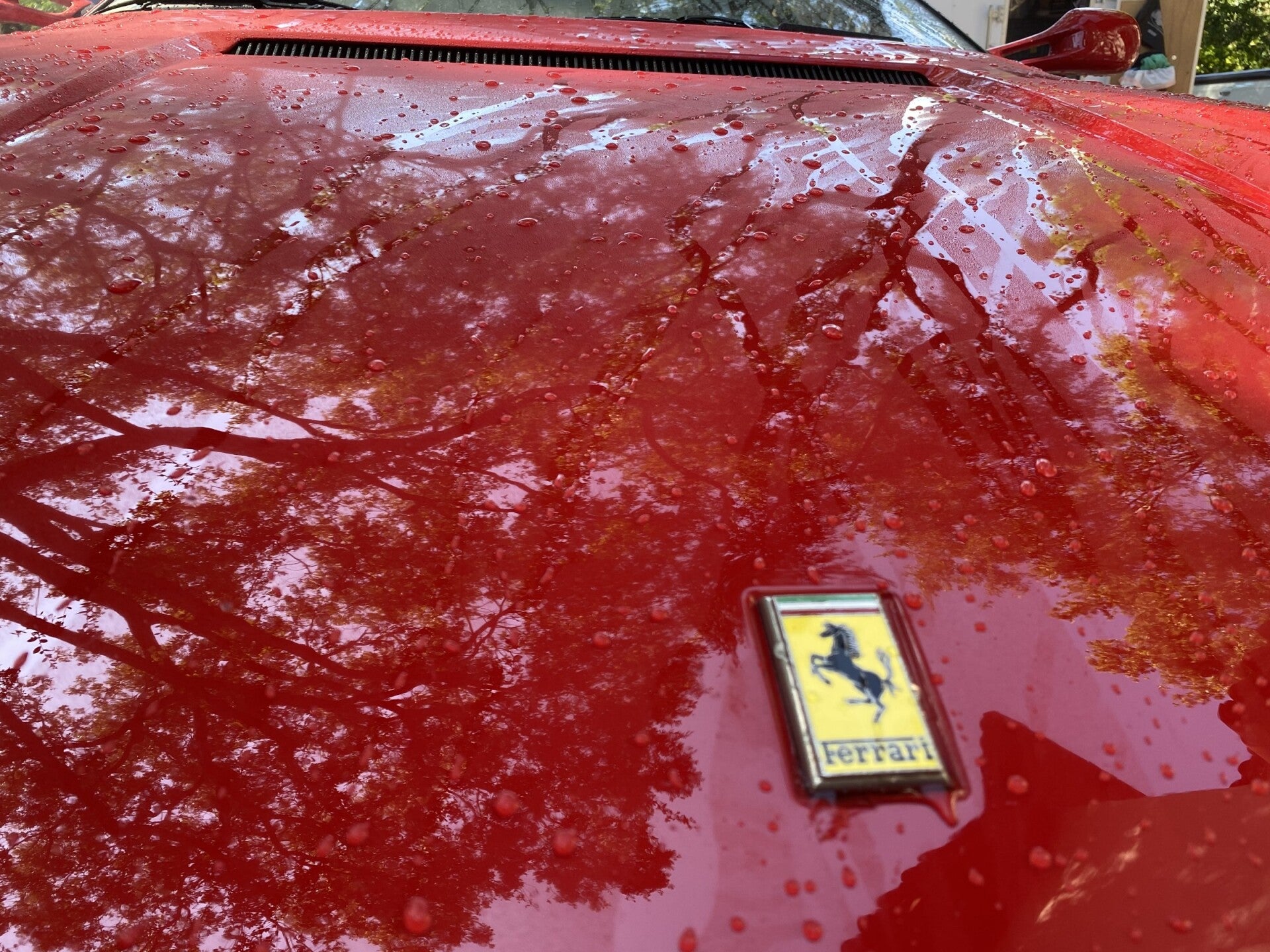 Water beading on a Ferrari detailed by Xtreme Pro Detailers in Miami