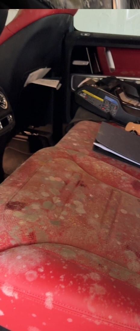 Mercedes-Benz G-Class rear seat covered in mold before restoration
