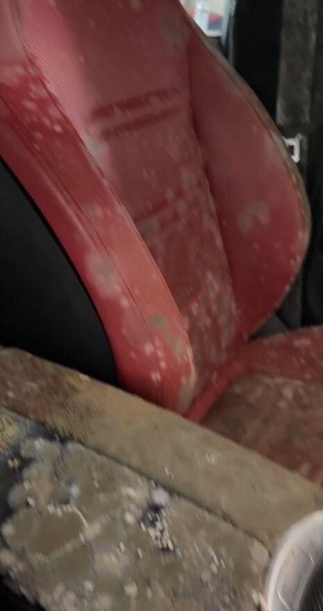 Mercedes-Benz G-Class red leather front seat covered in mold before restoration in Miami