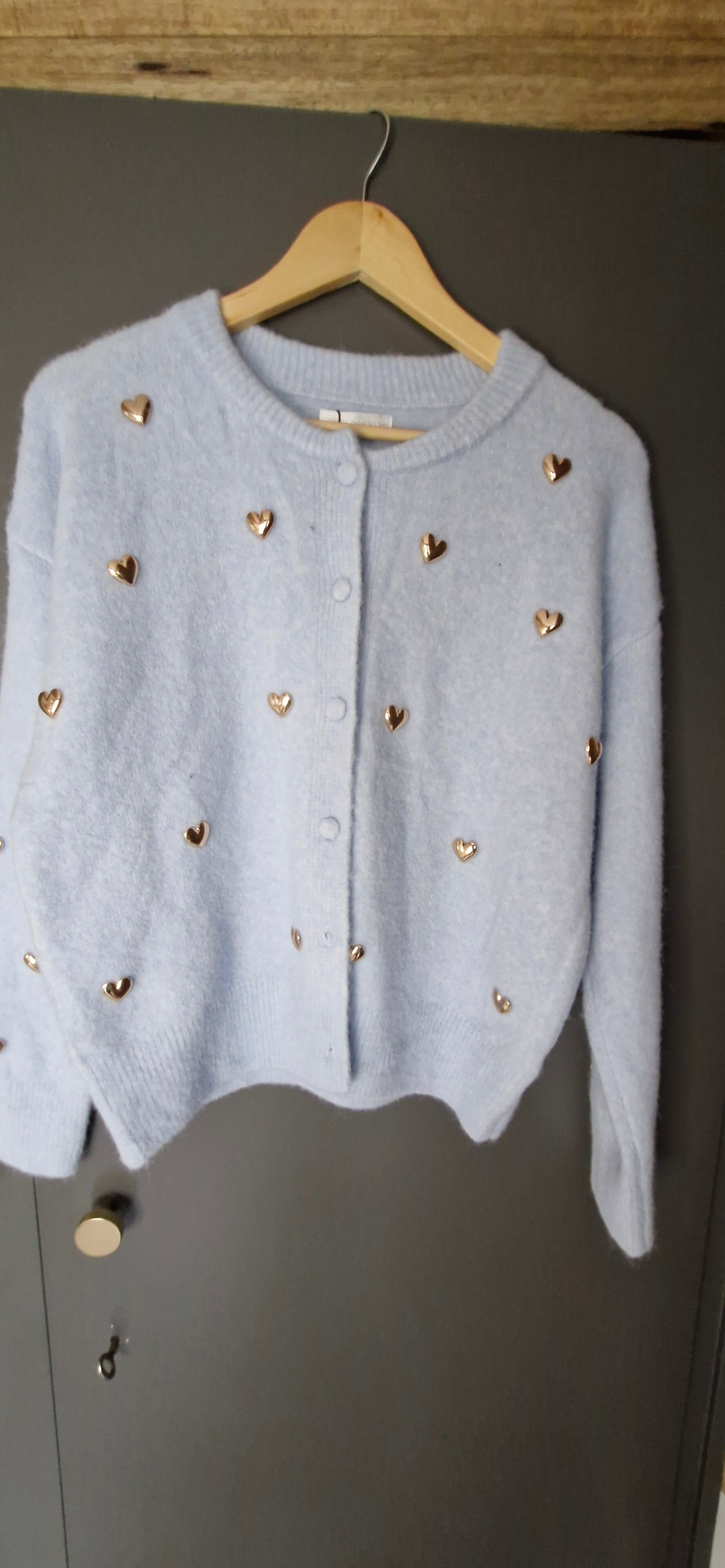 Vest hartjes babyblauw