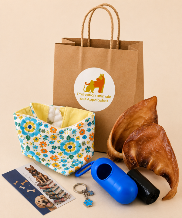 🎁 Kit surprise pour chien
