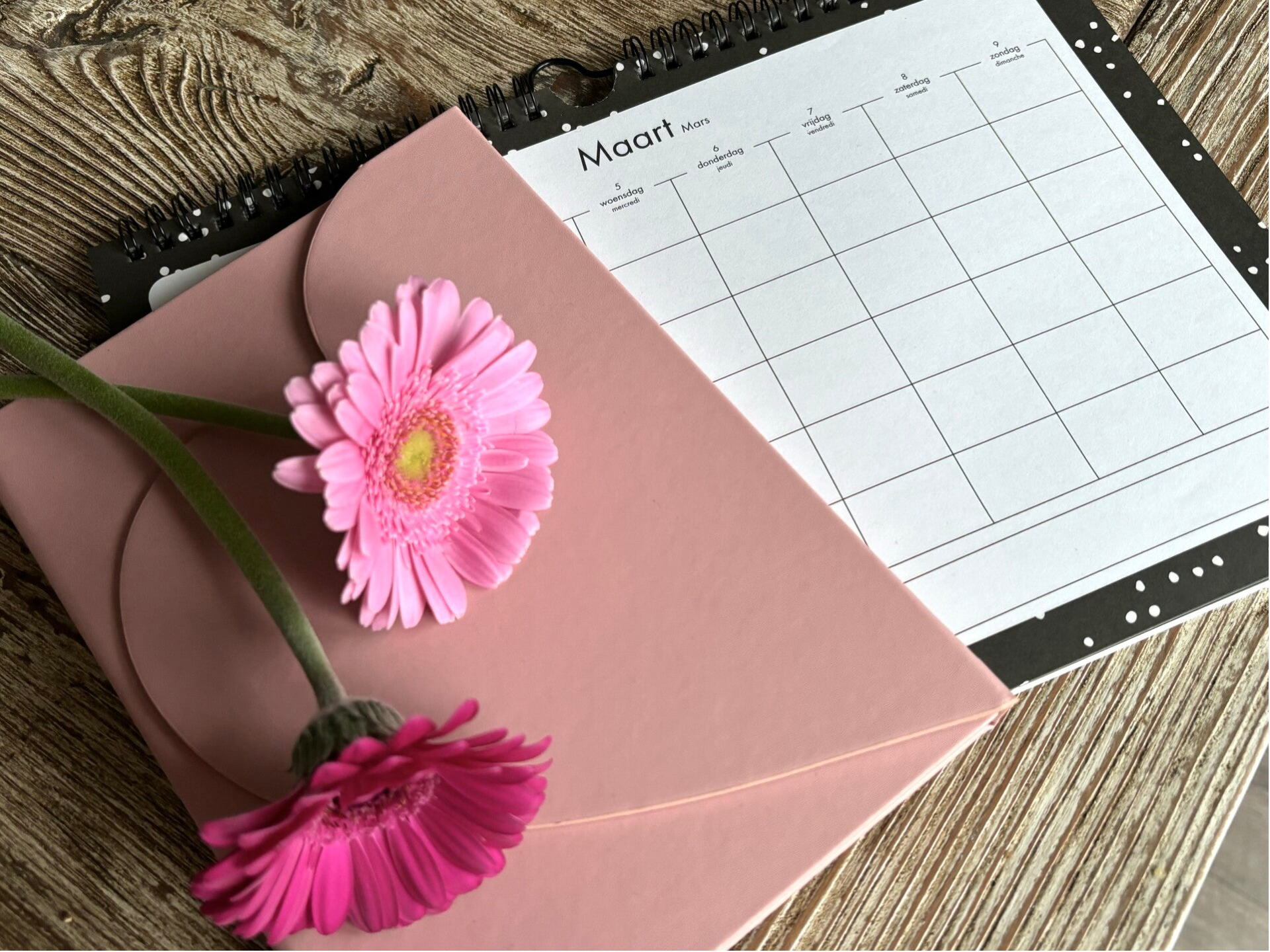 Weddingplanner Friesland