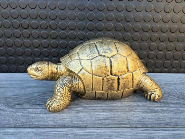 schildpad (goud/zwart)