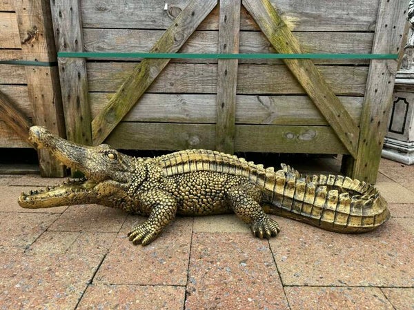 krokodil 1 meter