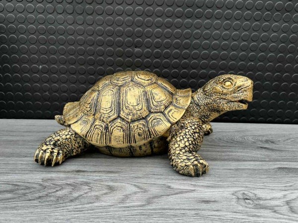 schildpad (goud/zwart)
