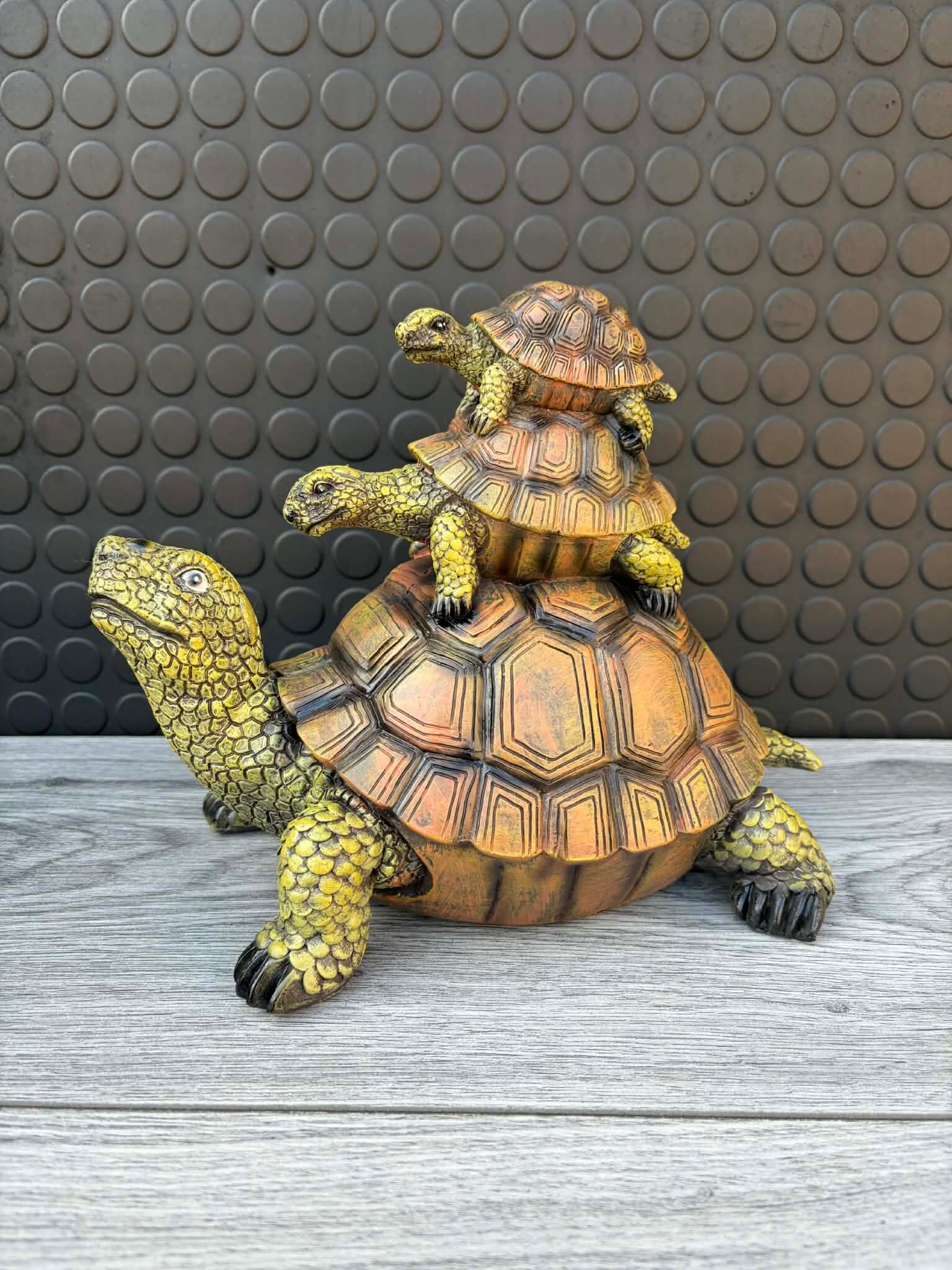 schildpad