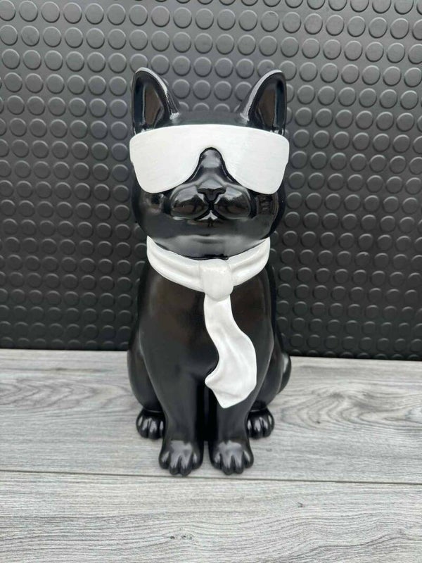 poes met bril