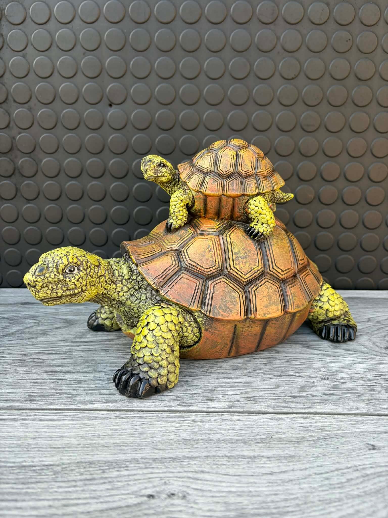 schildpad