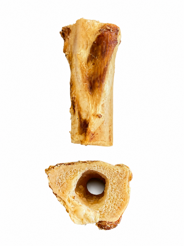 Tibia di bufalo (10 cm circa)