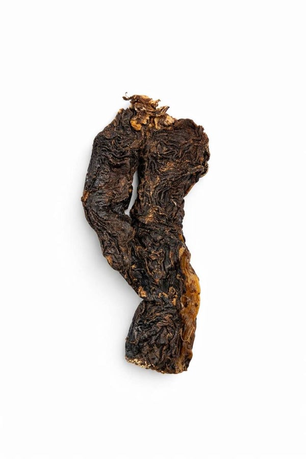 Mammella di bufala essicata