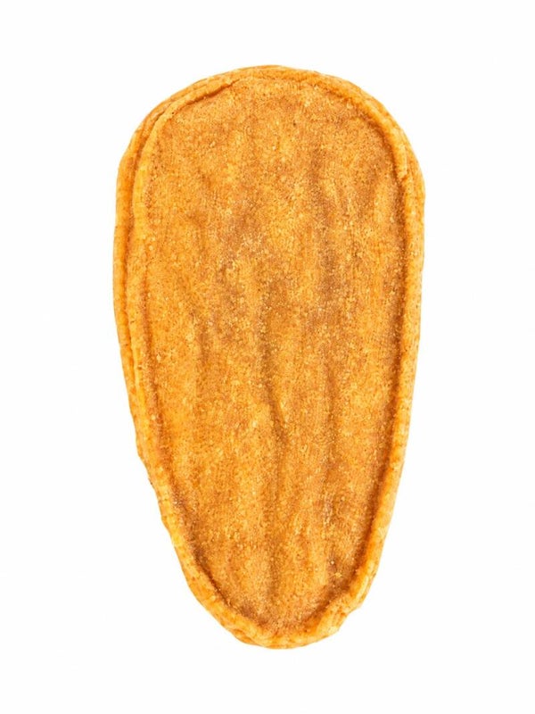 Filetto di pollo