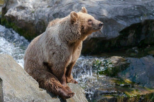 Fotoworkshop Zootiere fotografieren im Duisburger Zoo