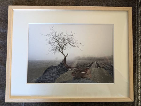 Arbre en hiver 21 x 29.7 dans cadre 30x40