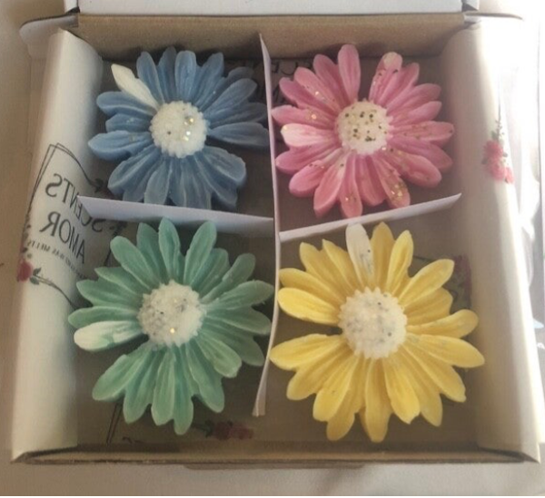 Mother’s Day   Box  Of  4 Daisies X2