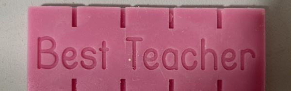 Beast Teacher wax melt snap bar