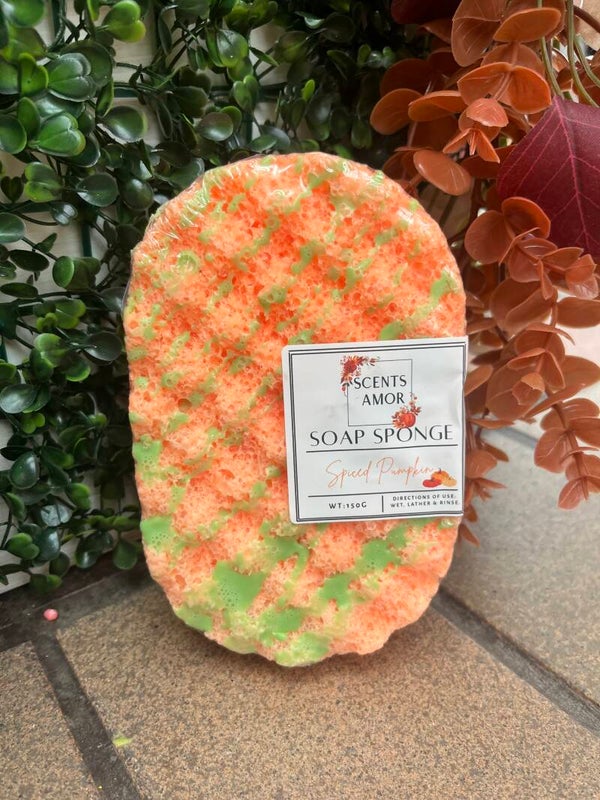 Pumpkin spice soap sponge