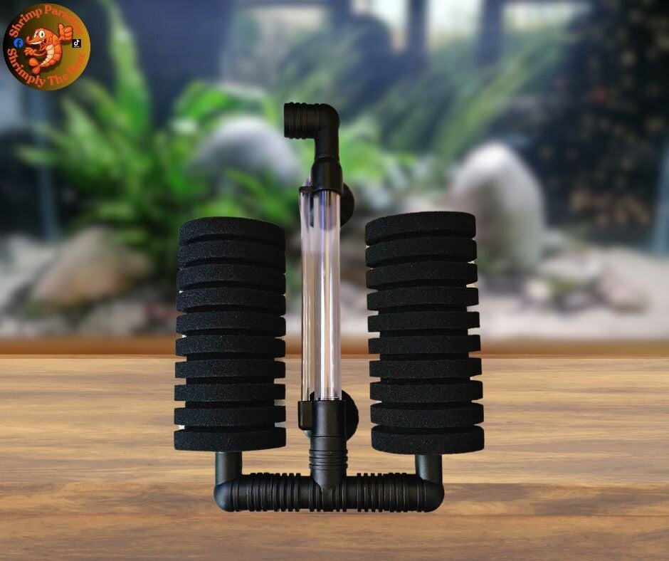 Double Sponge Filter