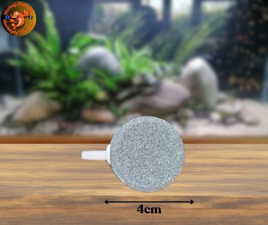 40mm Air Bubble Stone Aquarium Aerator Pond Pump Air Stone Bubble Disk Aquarium Air Pump Hydroponic Oxygen Plate