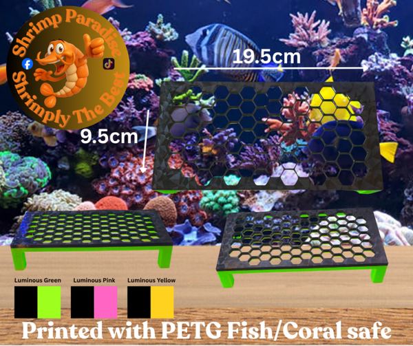 Marine coral 3d printed frag table