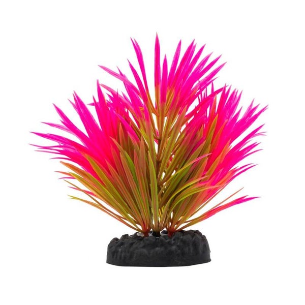 AQ Lilaeopsis Plant Pink 10cm