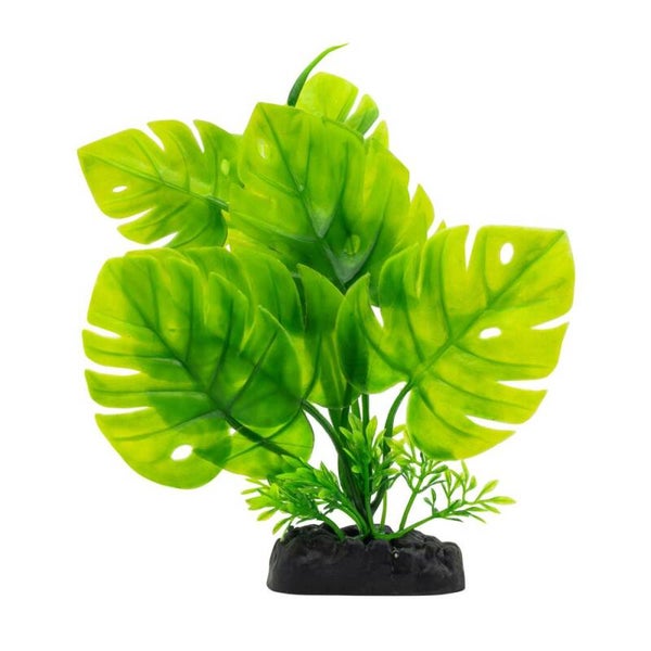 AQ Monstera Plant Green 20cm