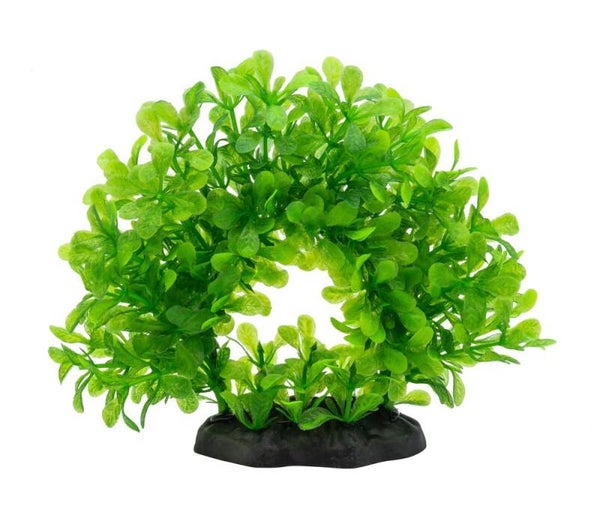AQ Lindernia Ring Green 15cm 1DA280