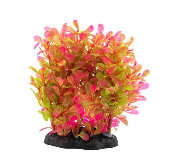 AQ Lindernia Ring Pink 15cm 1DA281