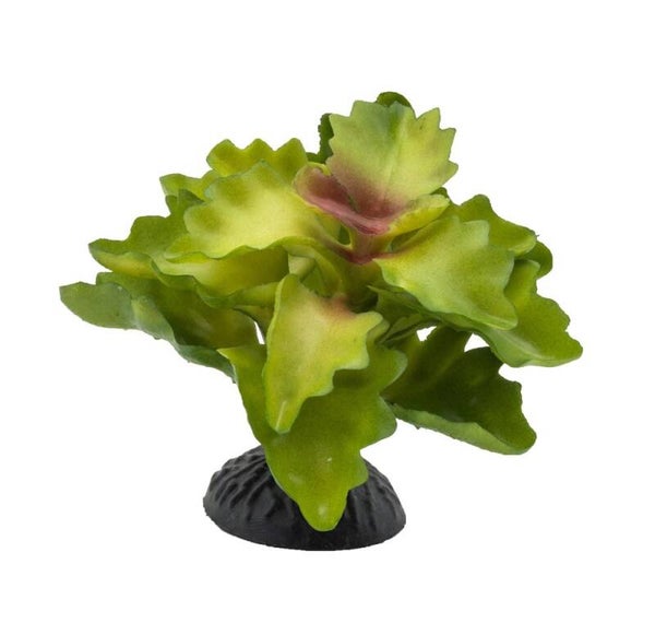 AQ Lobelia Plant Green 10cm 1DA450