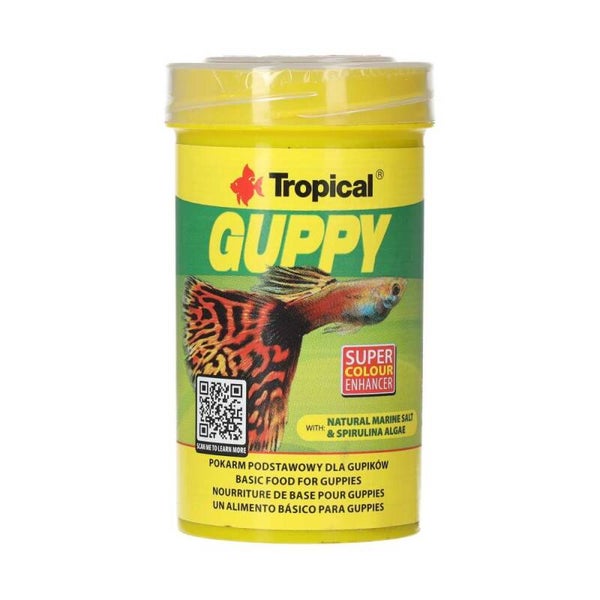 Tropical Guppy