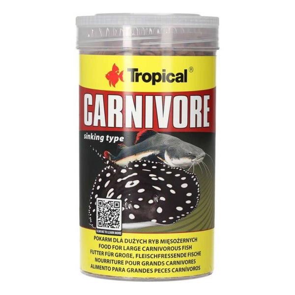 Tropical Carnivore