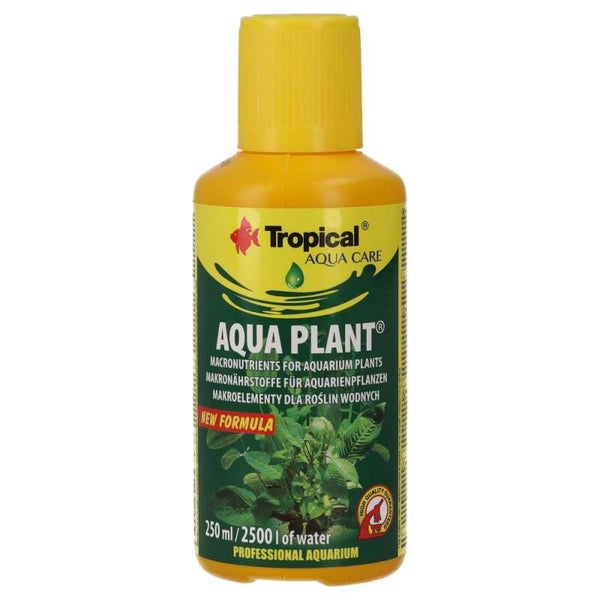 Tropical Aqua Plant 250ml