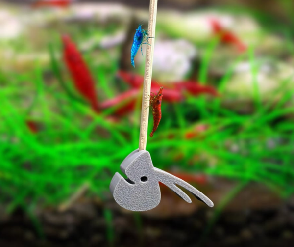 3d Printed Shimp Lolly Holder