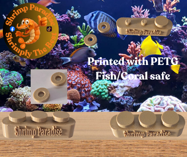 Coral Frag Base With Screw in Frag Plugs