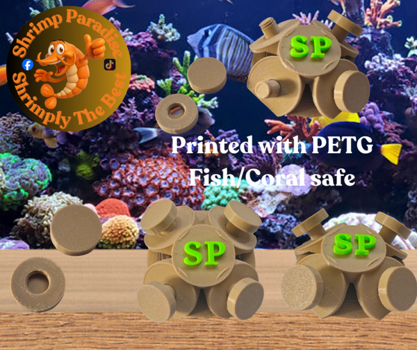 Coral 4 frag Bottom base sand colour