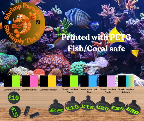 Price Frag Plug x6 (See information below).