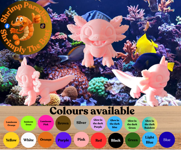 Very Cute Axolotl 3d Printed