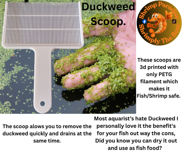 Duckweed Scoop.