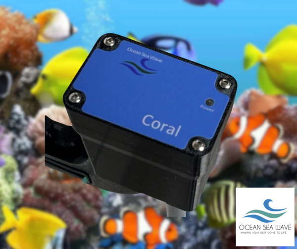 Ocean Sea Wave Coral