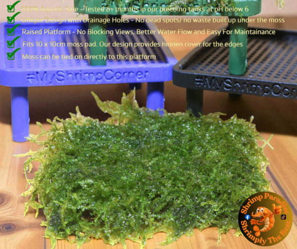 The One Moss Platform & FREE Moss Pad