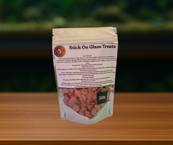 Shrimp Paradise Stick On Glass Treats