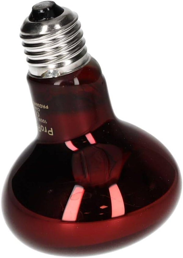 PR Infrared Spot Lamp 100w ES