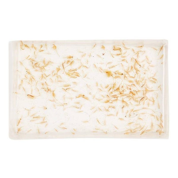 LIVE Brine Shrimp (Artemia) (100ml)