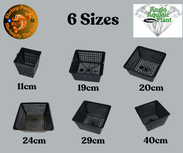 Square Plants Pots 6 Sizes 5 Pack