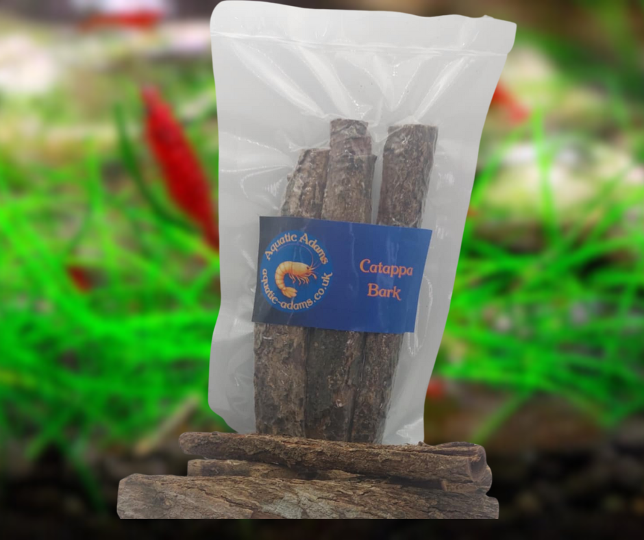 Catappa Bark Logs x3